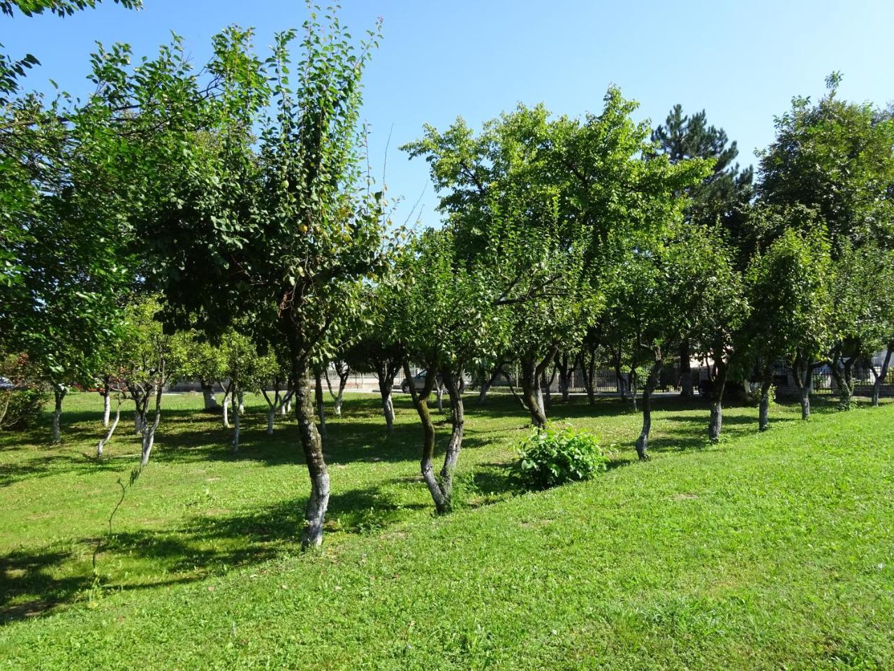Apartment Una Laguna Bihać Zewnętrze zdjęcie